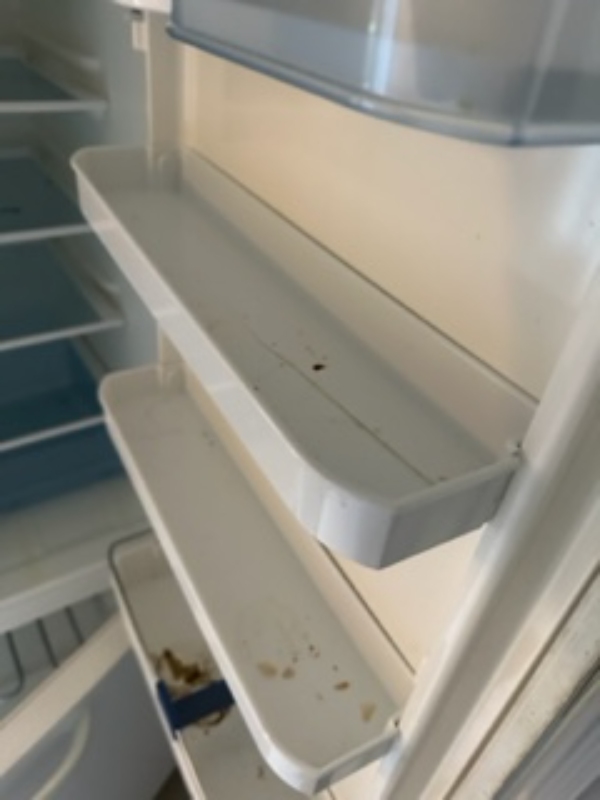 Rengøring af lejlighed