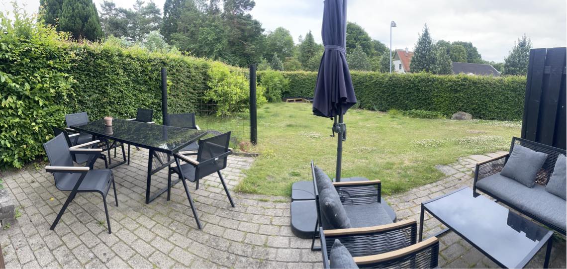 Hækkeklipning 60 meter bøgehæk