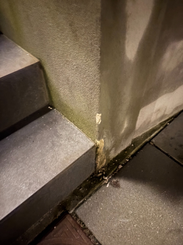 Reparation af fortrappe