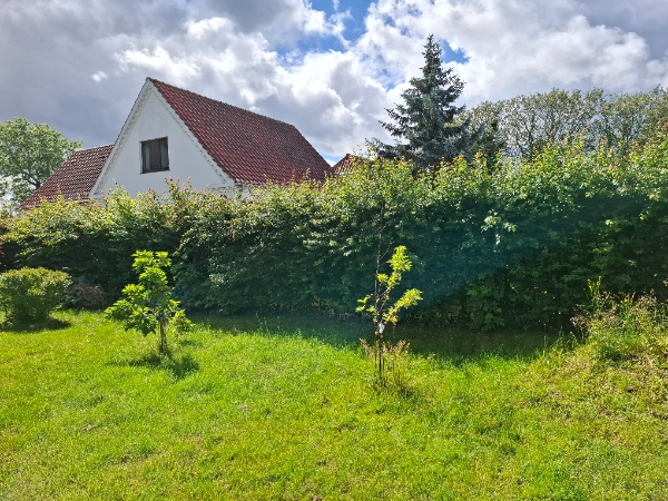 Hækklipning og affaldsbortskaffelse