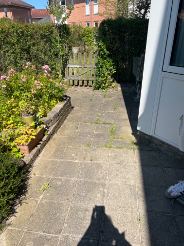 Græsslåning og fjernelse af ukrudt og klipning af bed