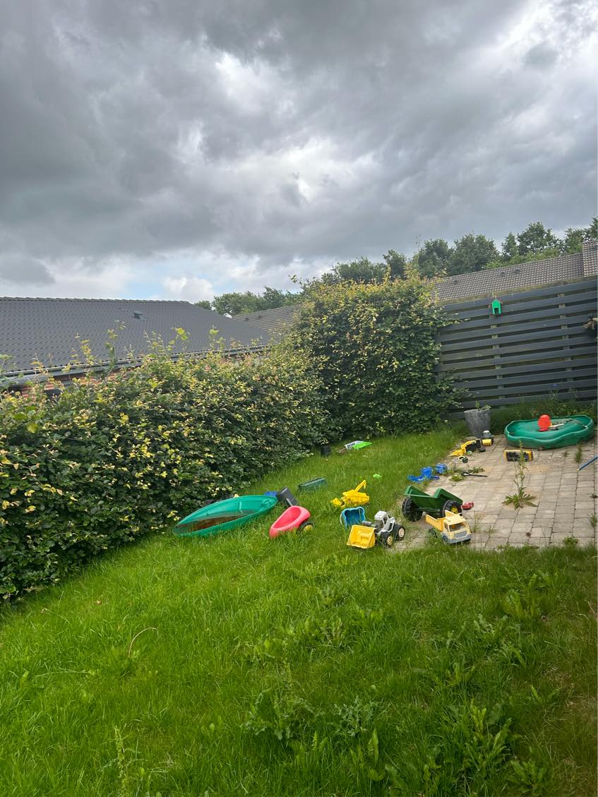 Klippe græs og hæk