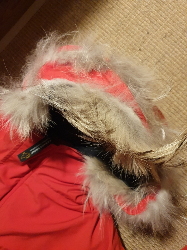 Syning af pelskrave på jakke