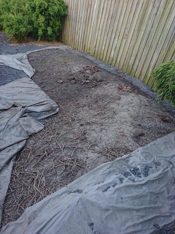 Opgravning og bortkørsel af jord