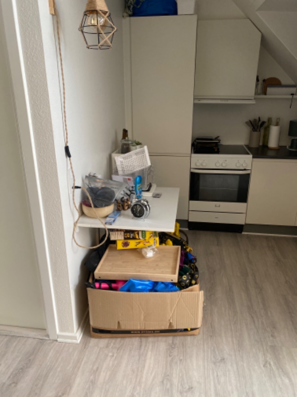 Oprydning og organisering