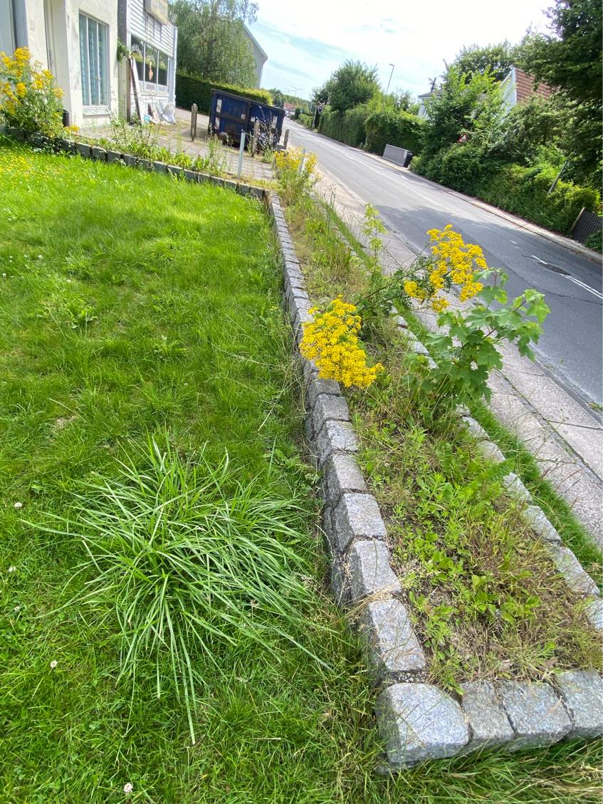 Ukrudtsfjernelse og græsklipning og hækklipning