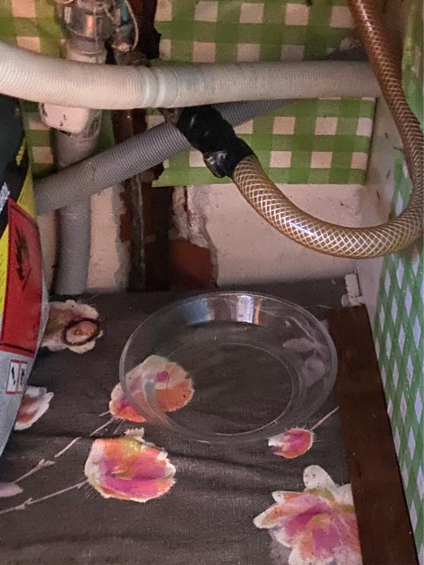 Hjælp til at få vandrør under opvasken vandtæt