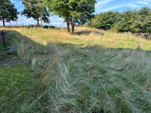 græsslåning