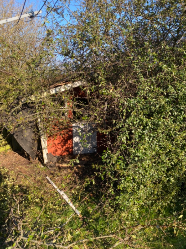 Nedklipning af busk og fjernelse af gyngestativ