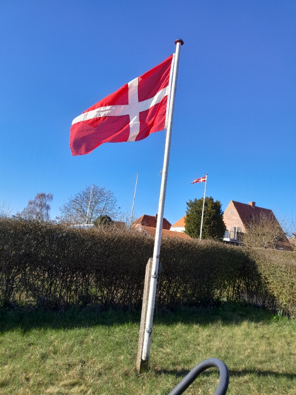 Klip af hæk og græs