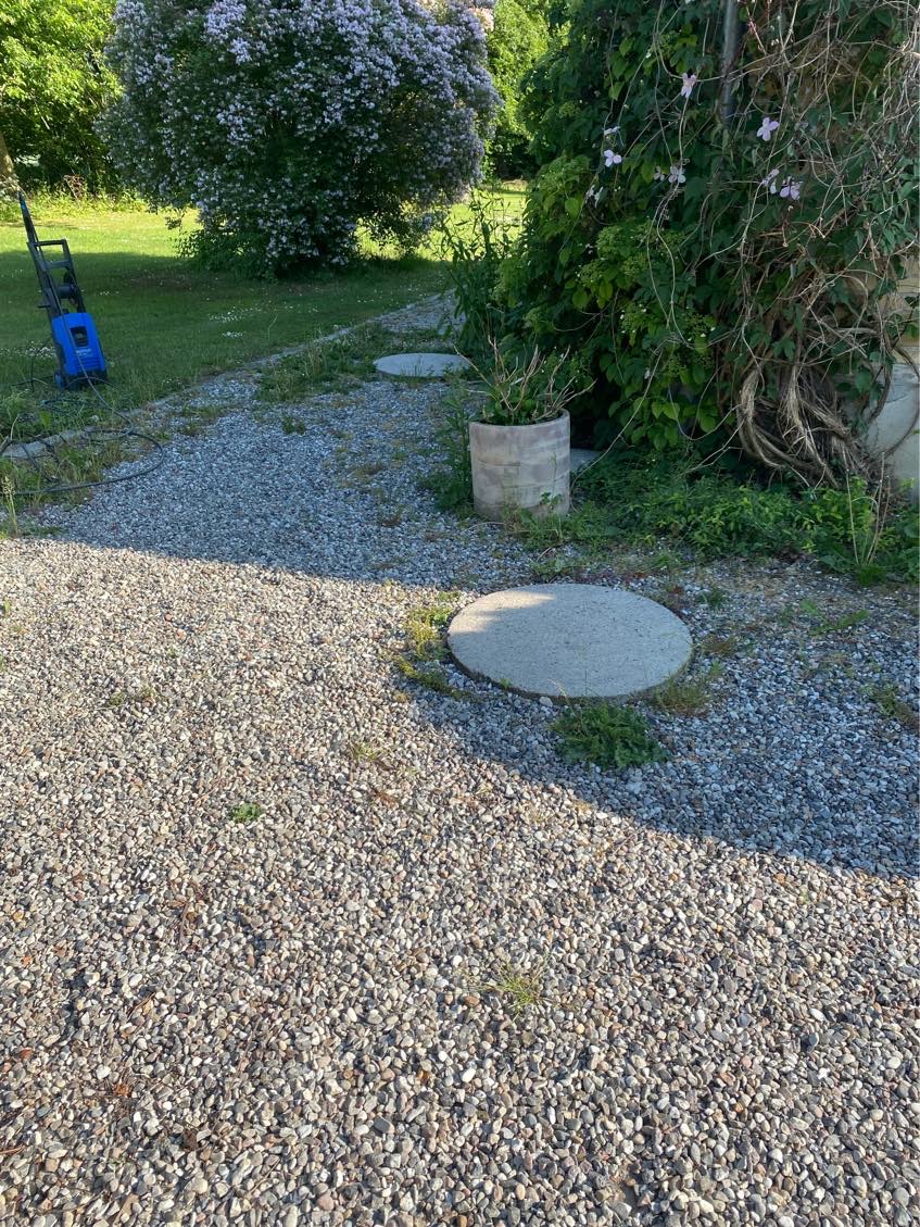 Ukrudt i stor gårdsplads - perlesten