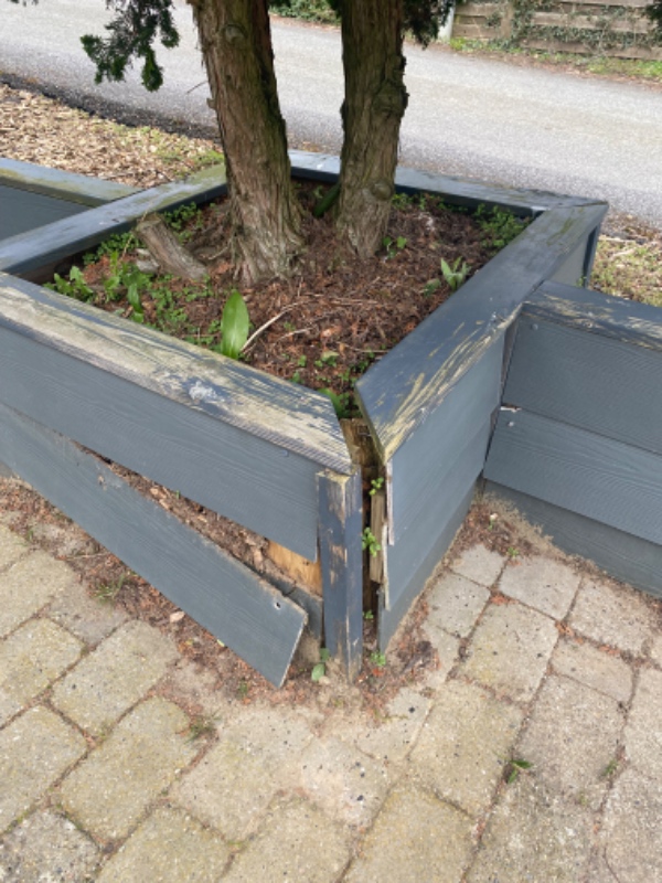 Fjernelse af busk Reparation ved træ (Opfølgning nødvendig)