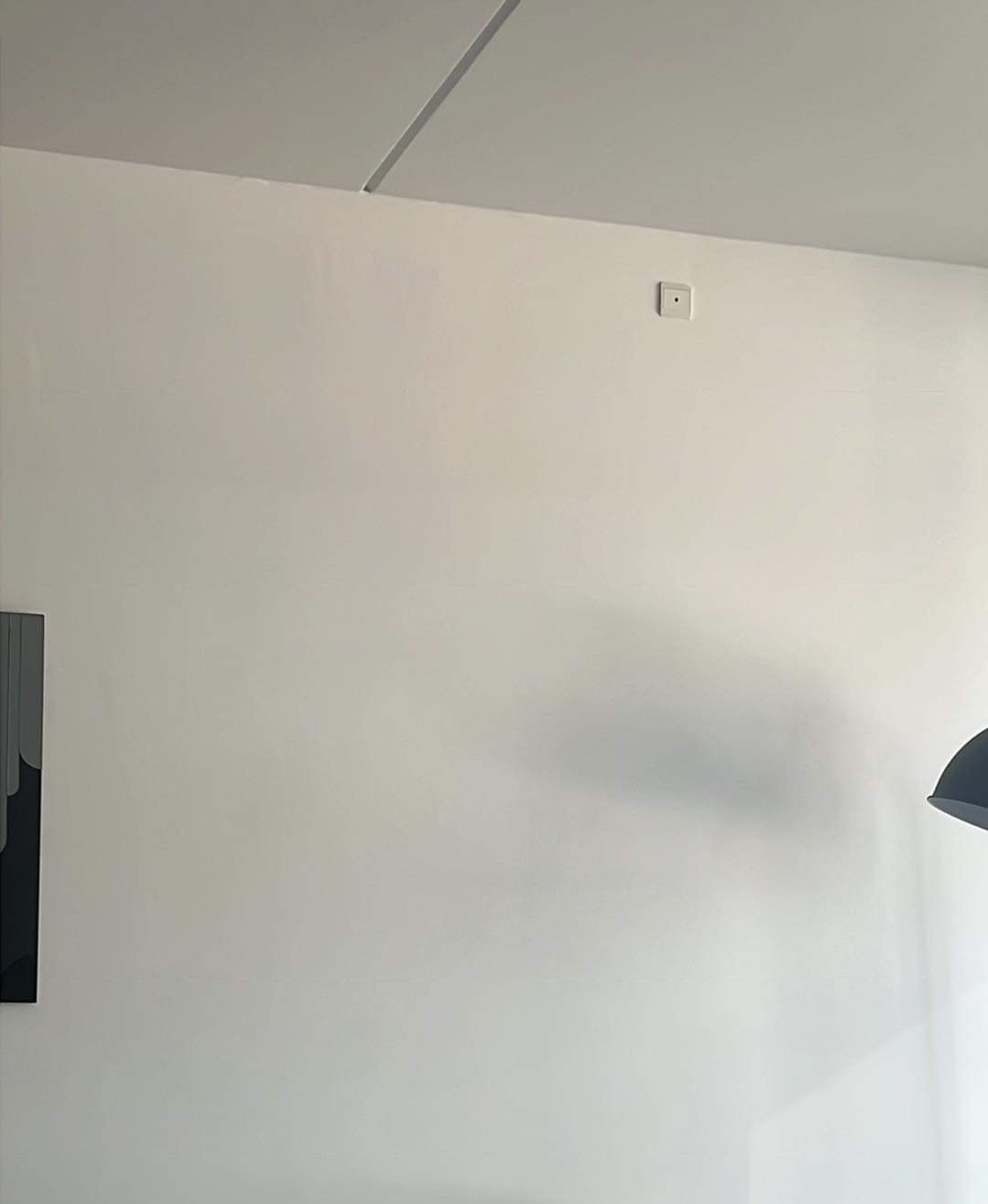 Skal have hængt to billeder op på en beton væg.