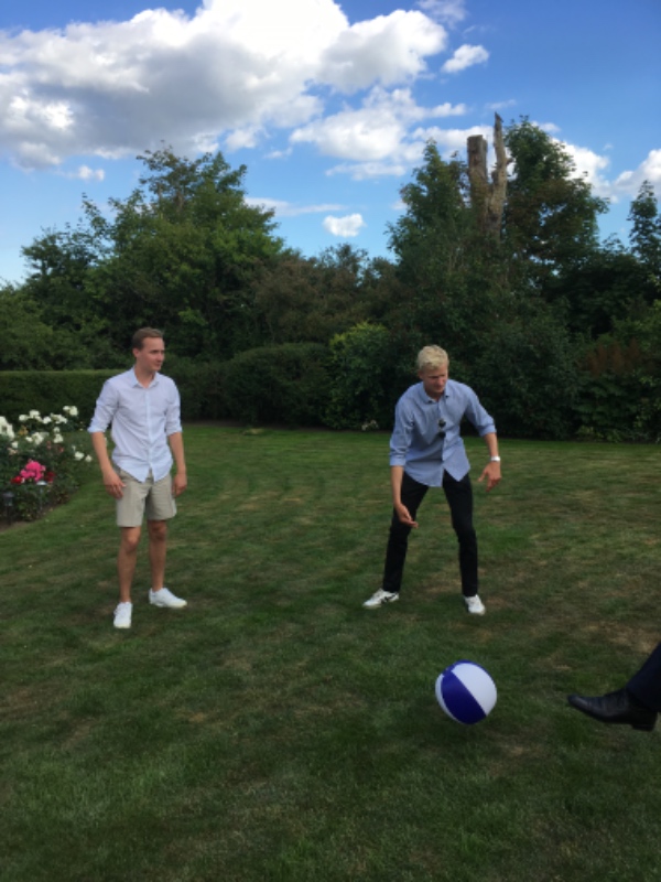 Klipning af buske og hæk