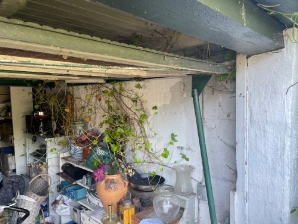 Lugning og fjernelse af efeu