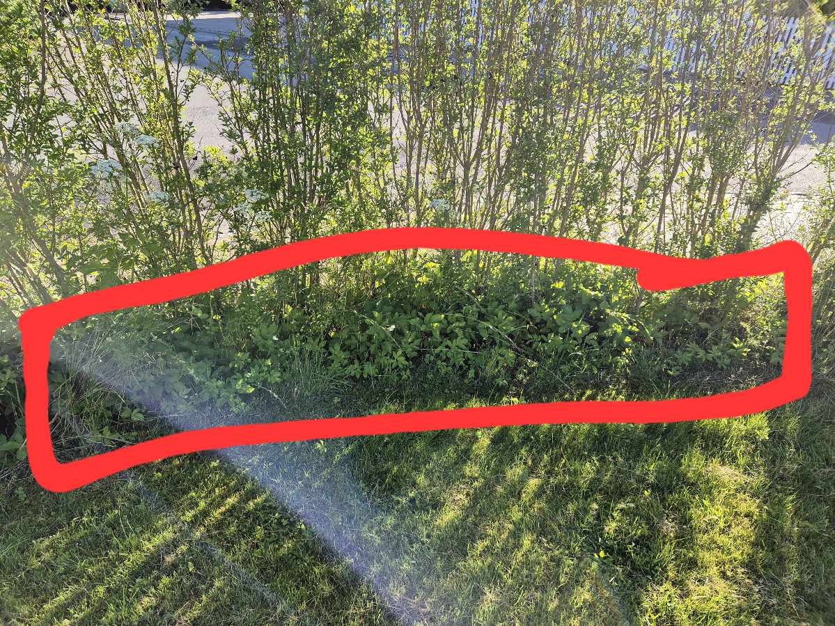 Vedligeholdelse af hæk