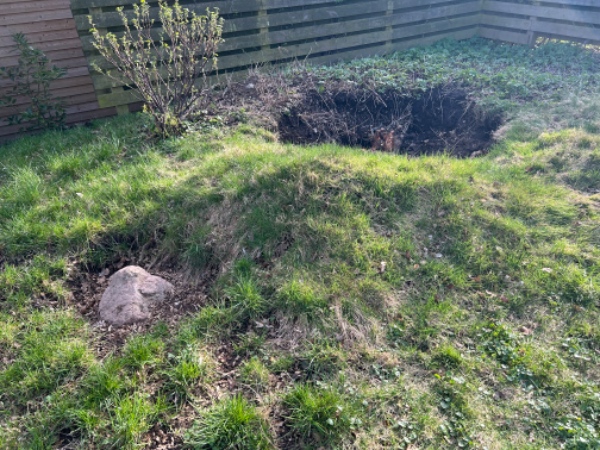 Diverse fjernelser rødder mm