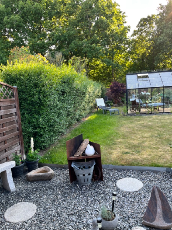 Ca 10 meter ligusterhæk klippes