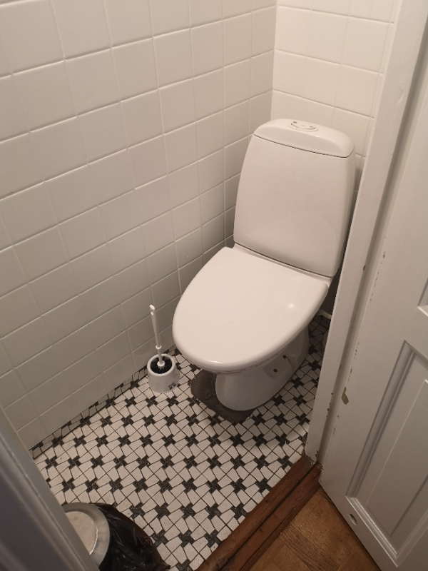 To serieforbundne lamper skal fixes, tre armaturer skal opsættes, et toilet skal udskiftes