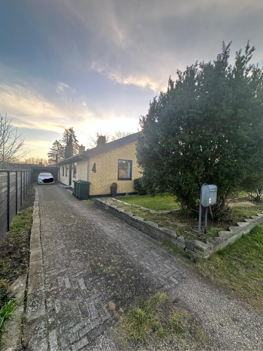 Brolægning. Udskiftning af 50x50x8 fliser.