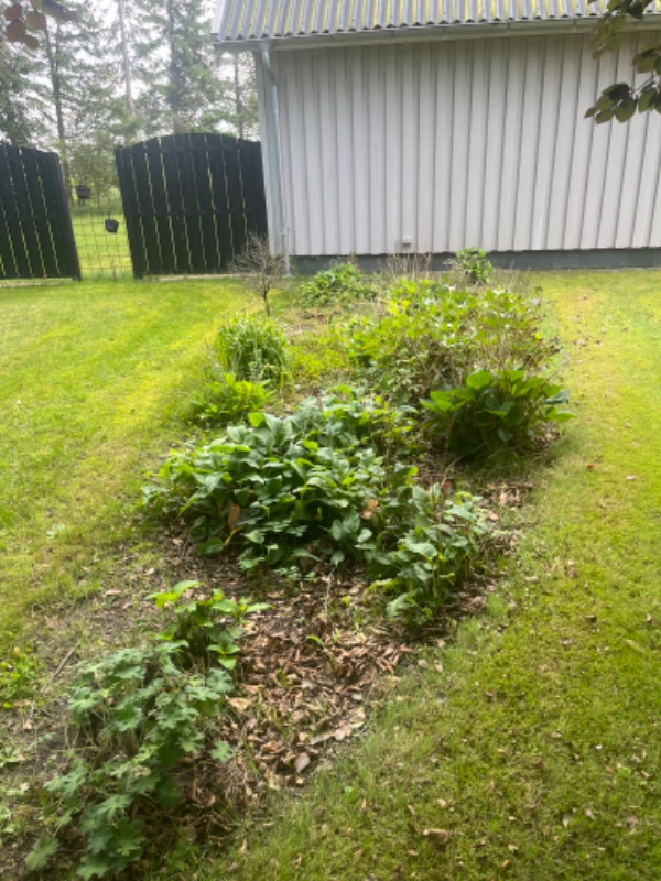 Gjort haven pæn, så den står skarpt på billeder der skal tages ifbm salg.