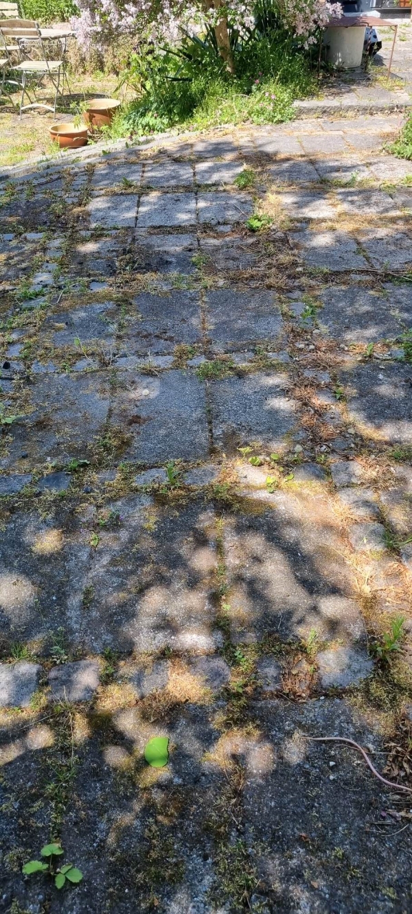 fjerne ukrudt mellem fliser