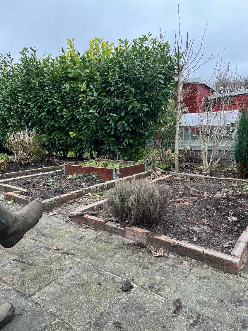 Anlægge en terrasse i nyttehave