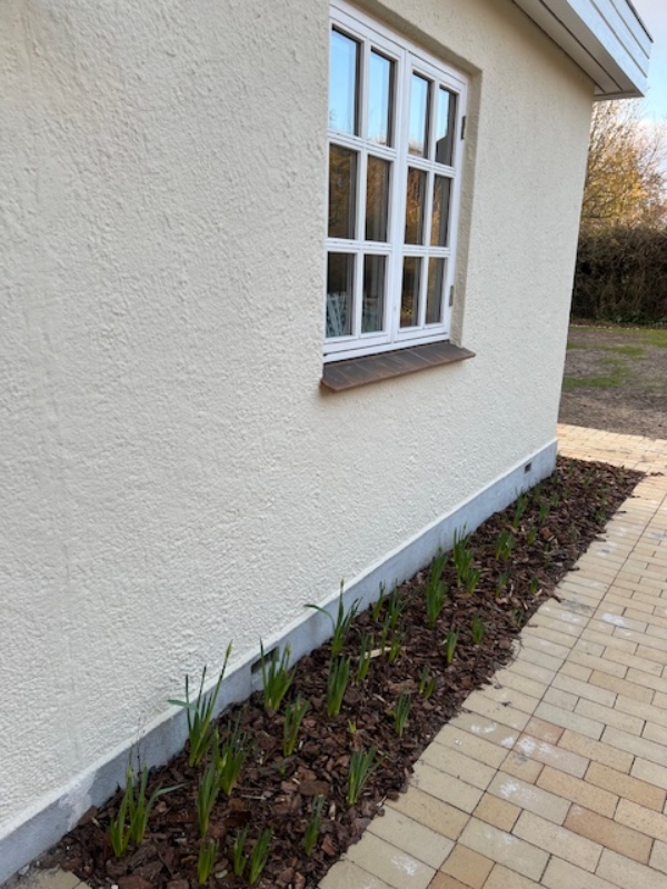 Malet sokkel samt sprossevinduer (udvendigt)