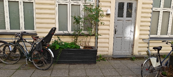 Bortskaffelse af jord og pallekasser, nedtagning af hegn mm.