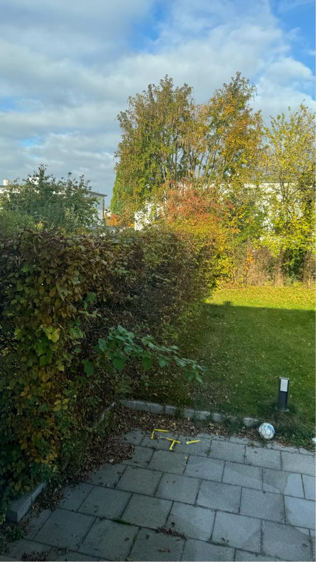 Beskære hæk ned til 1.8m