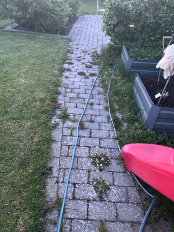 Ukrudt fjernes fra bede og sten