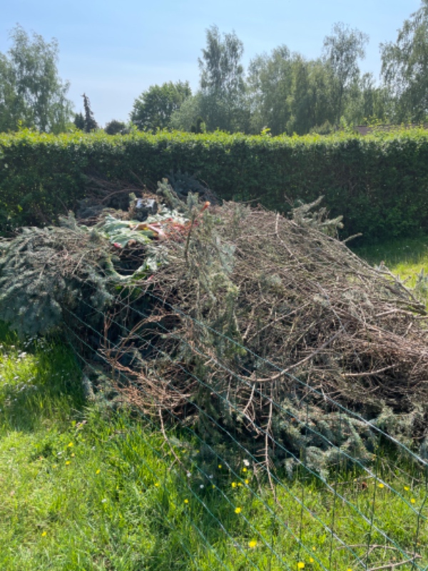 Afhentning af storskrald 