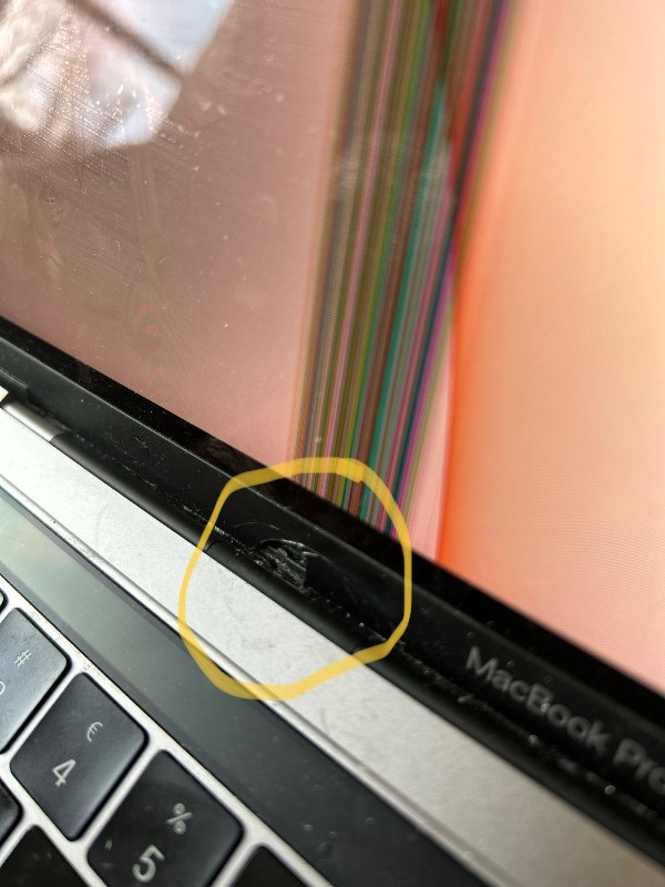 Reparation af Mac Skærm