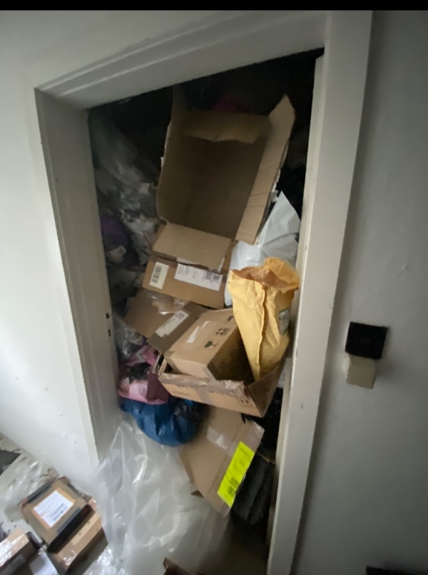 Hjælp til oprydning i kælder, flytte ting, pakke ting i kasser og køre affald væk.