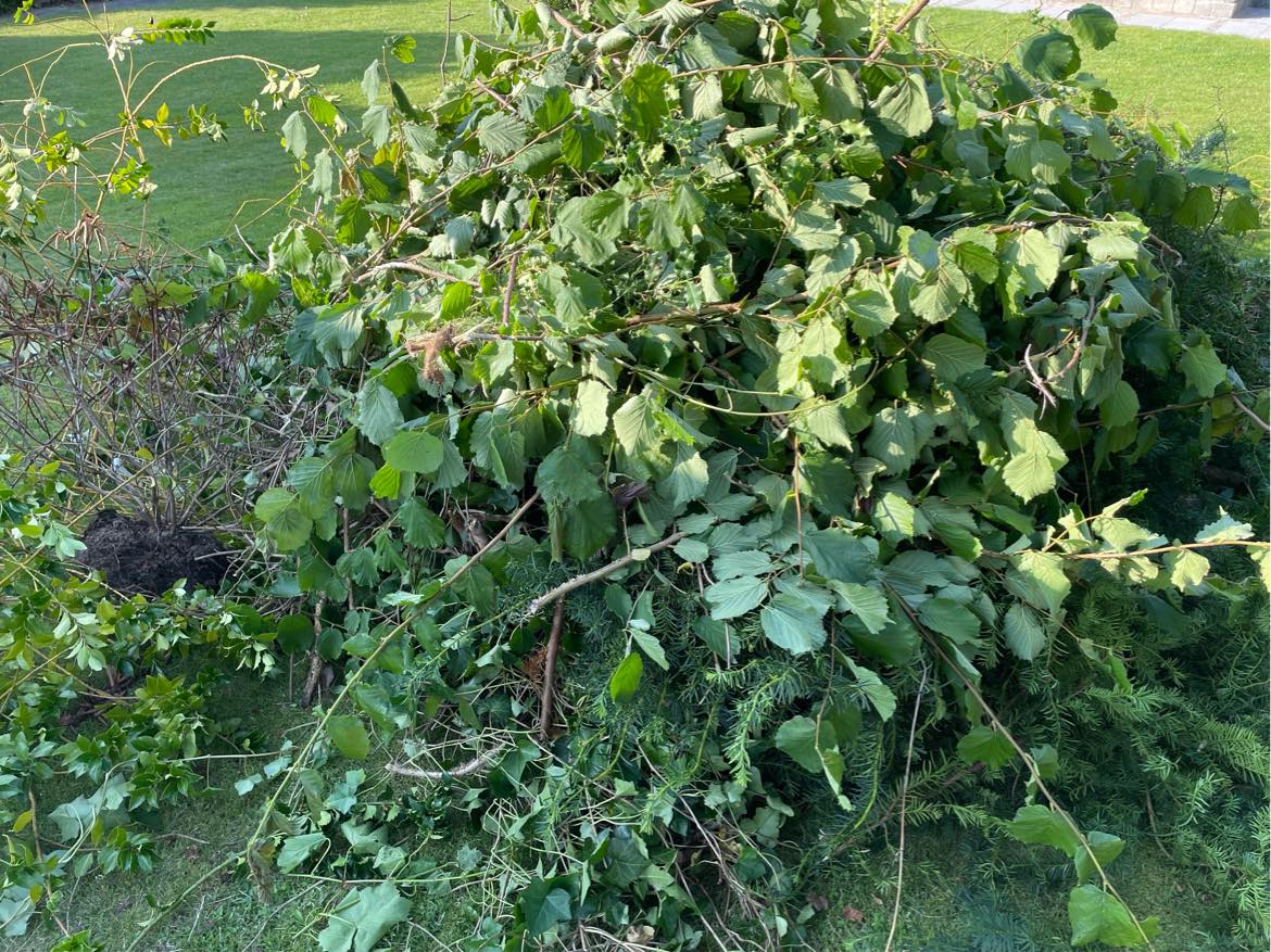 Haveaffald til genbrugspladsen