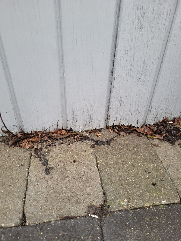 Træbeklædning på kolonihavehus