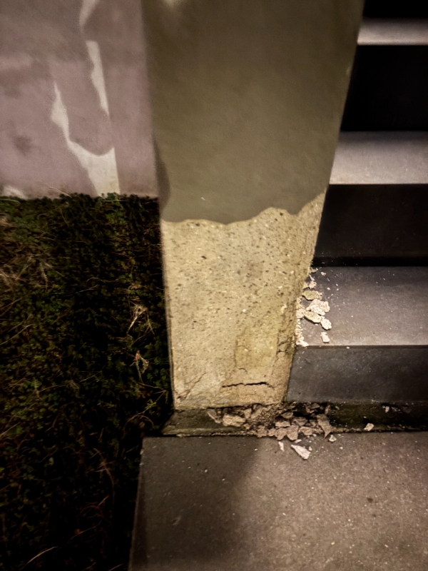 Reparation af fortrappe