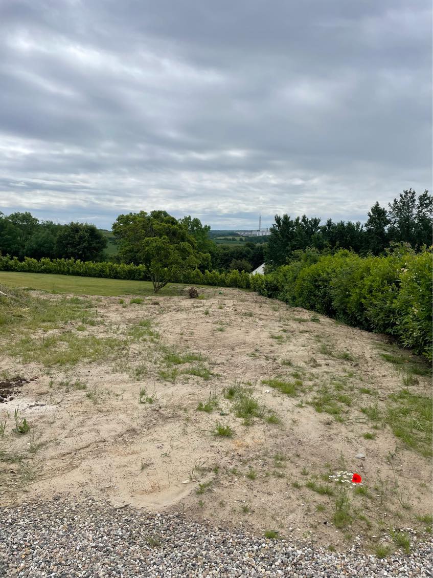 Anlægning af græsplæne