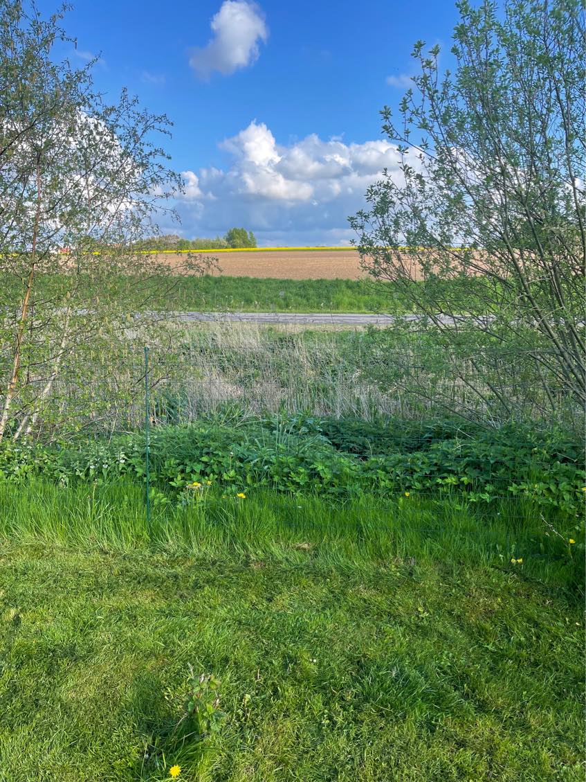 Udvidelse af have ned til åen