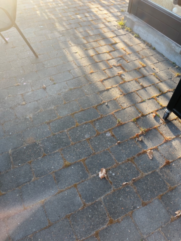 Fjernelse af ukrudt på fliser