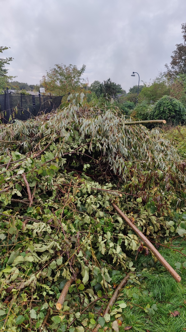 Afhentning af haveaffald. Trætoppe