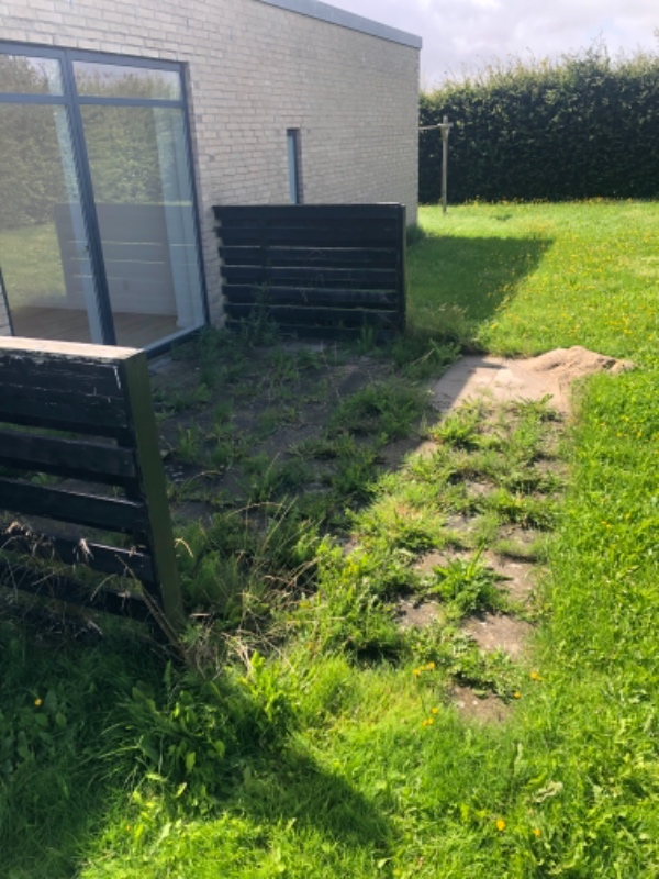 Græs, hæk, ukrudt, fliser.