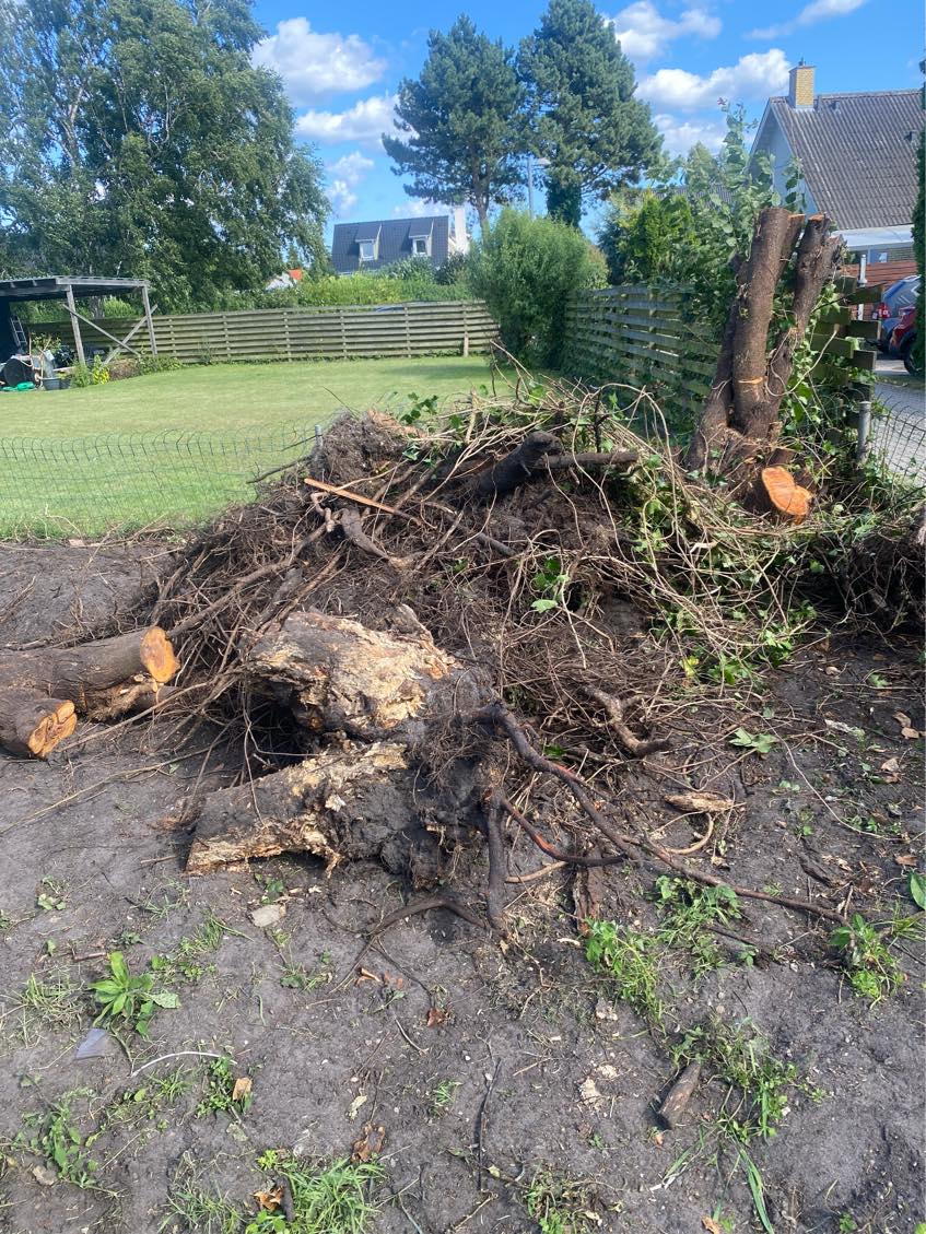 Bortskaffe trærødder og andet haveaffald.