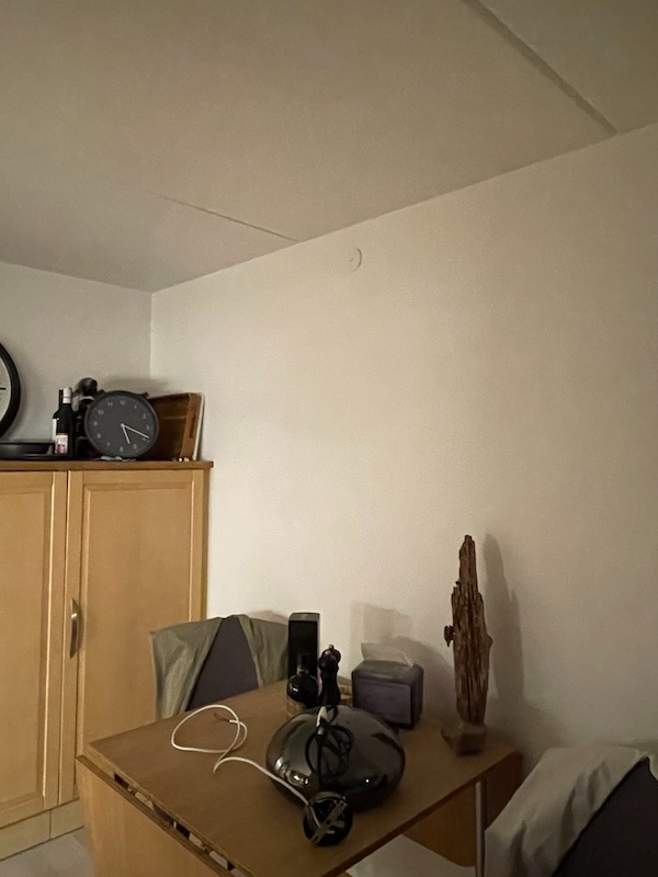 Ophængning af lamper