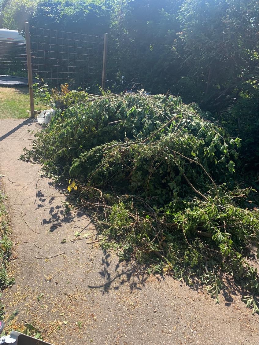 Afskaffelse af hæk og storskrald