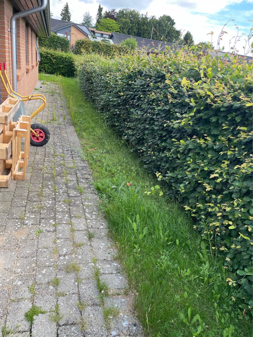 Slå græs