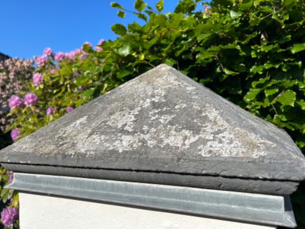 Reparation af mur + pudsning