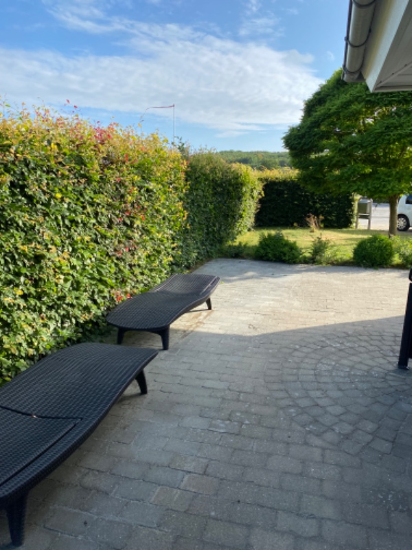 Hækklipning +bortkørsel