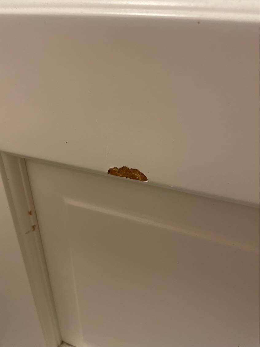 Reparation af træ vinduer og døre efter hundebidderi