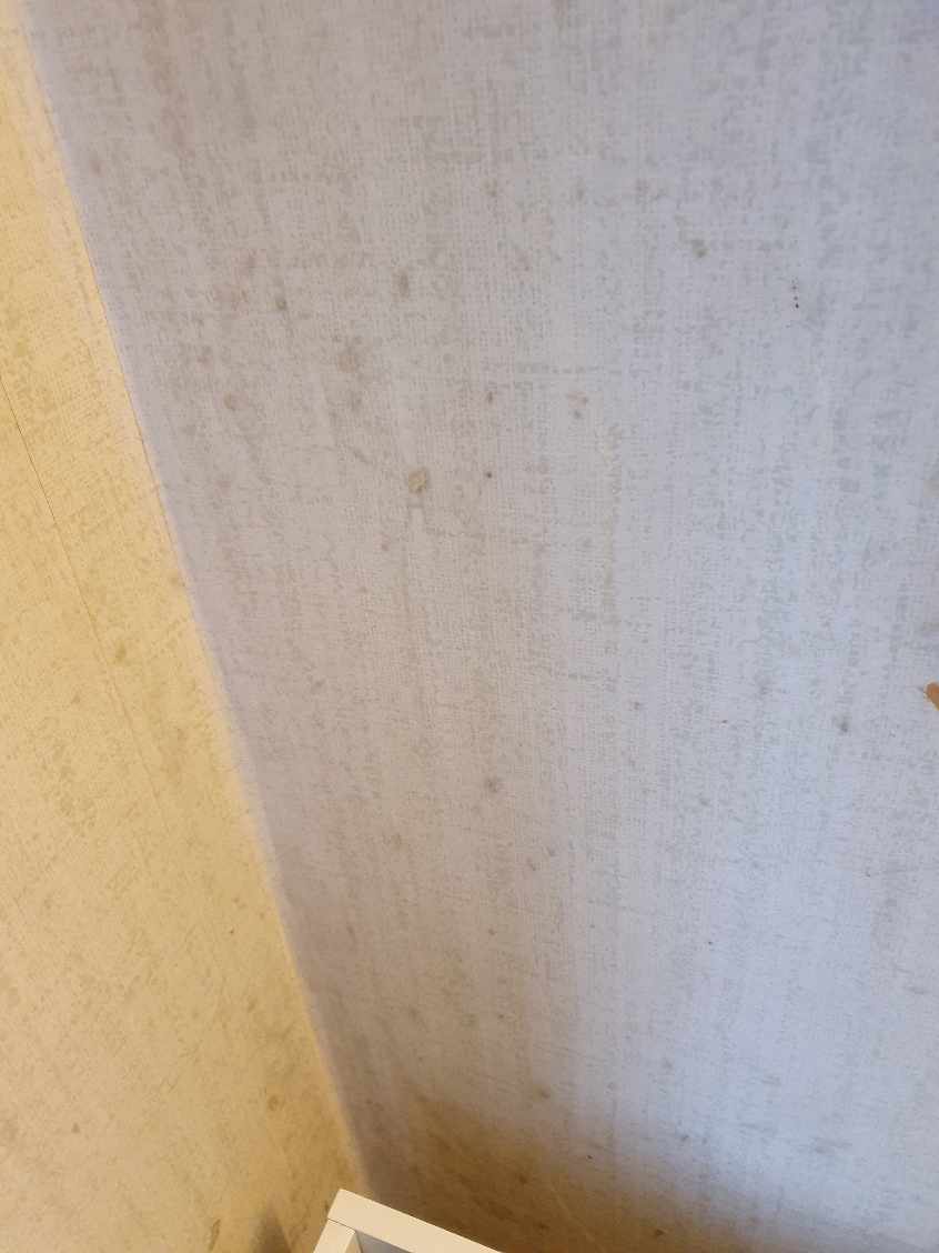 Fejrnelsen af tapet og maling af et værelse